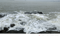 Featured image of post 落散在几分初春的碎片