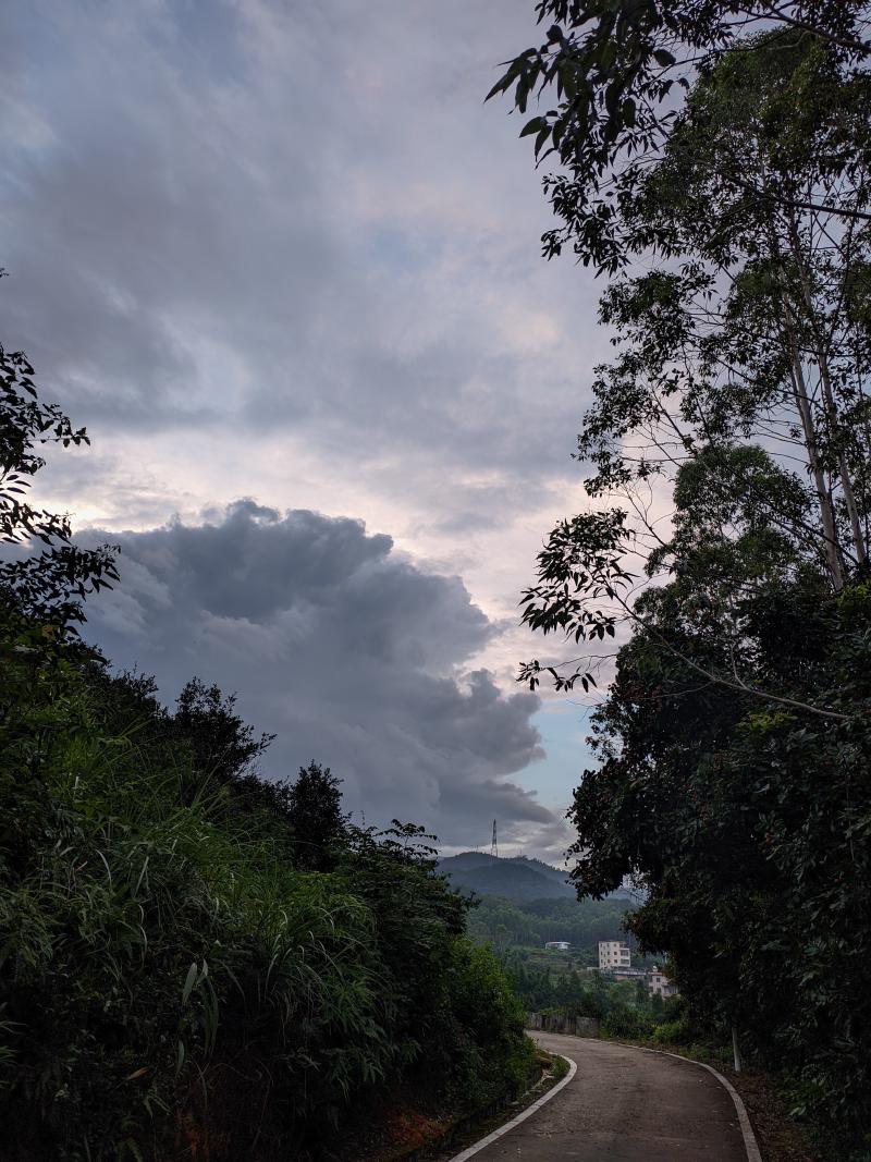 Featured image of post 文字-夏的片段