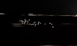 Featured image of post 2026杂记