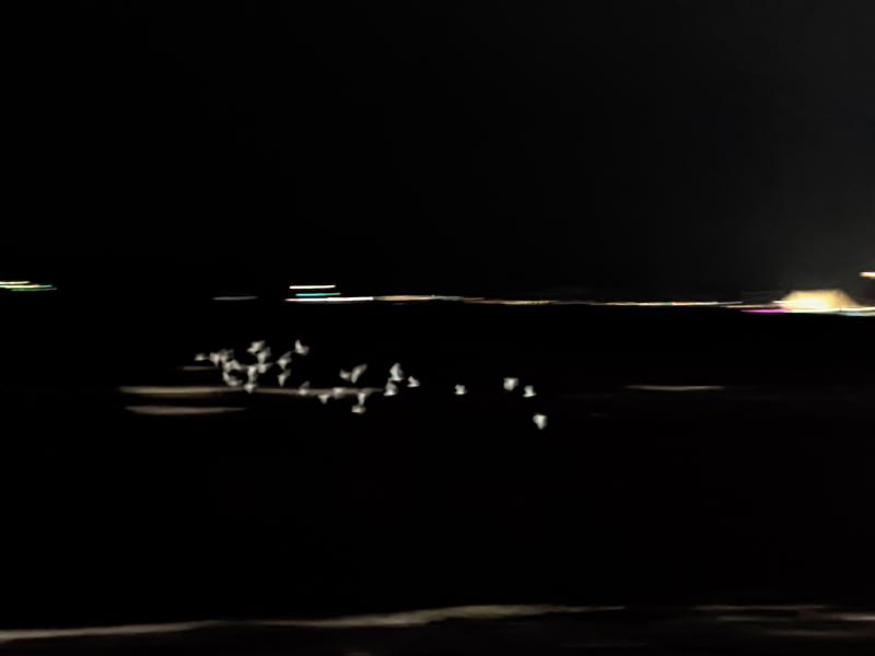 Featured image of post 2026杂记