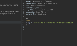 Featured image of post nssctf Web Easyupload2 Wp