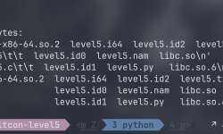 Featured image of post Ctfwiki level5