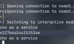 Featured image of post Nssctf Pwn [HUBUCTF 2022 新生赛]fmt Wp