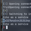 Nssctf Pwn [HUBUCTF 2022 新生赛]fmt Wp