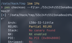 Featured image of post Pwn Cgpwn2