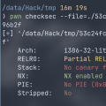 Pwn Cgpwn2