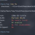 Pwn Int_overflow