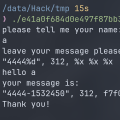 Pwn-CGfsb