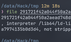 Featured image of post Pwn-level0-hello_pwn-level2
