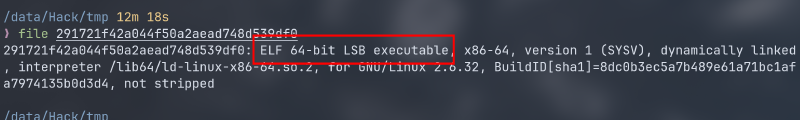 Featured image of post Pwn-level0-hello_pwn-level2