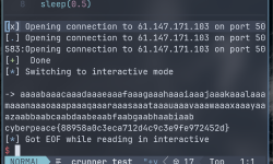 Featured image of post 绕过 canary 保护经典题：Mary_Morton